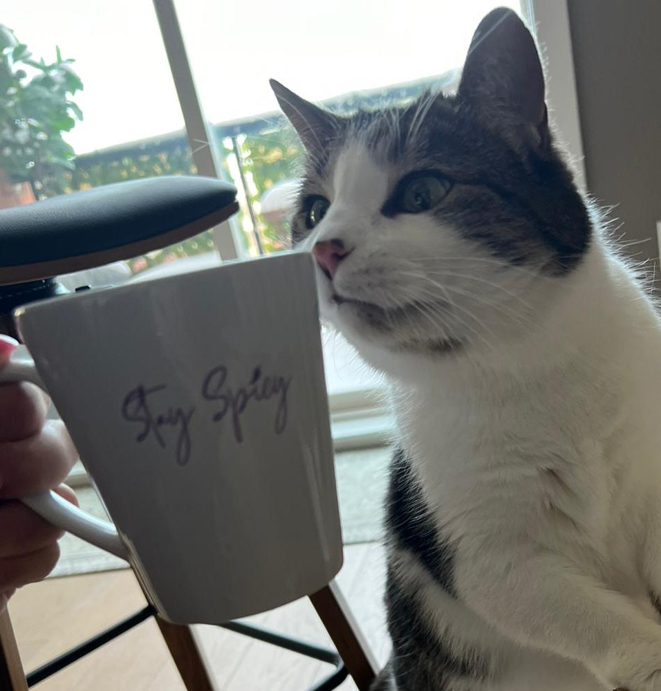 Stay Spicy Mug